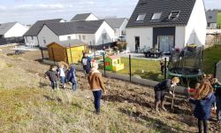 Plantations Cavalier   023